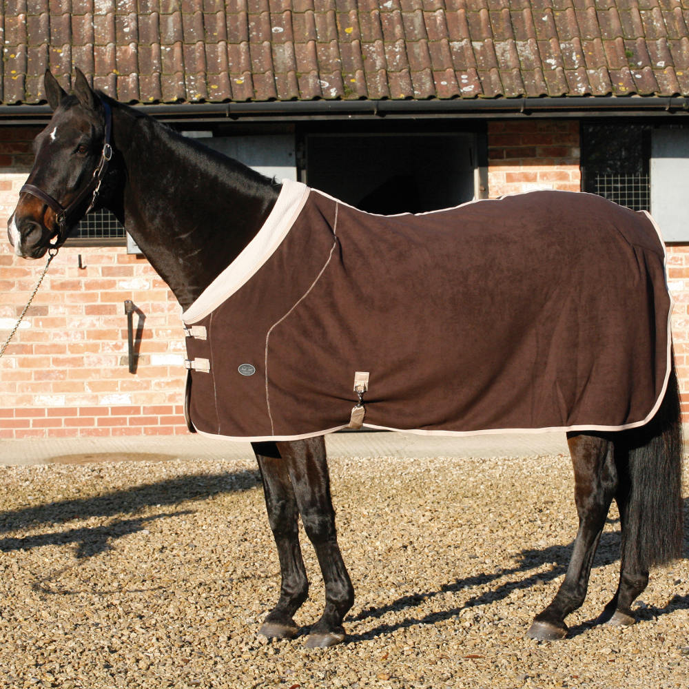 Dark horse wearing a brown fleece-look rug with cream trim and front buckle straps