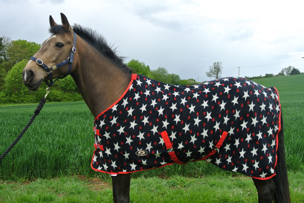 Bay horse wearing a navy rug with white and red stars and red binding and straps