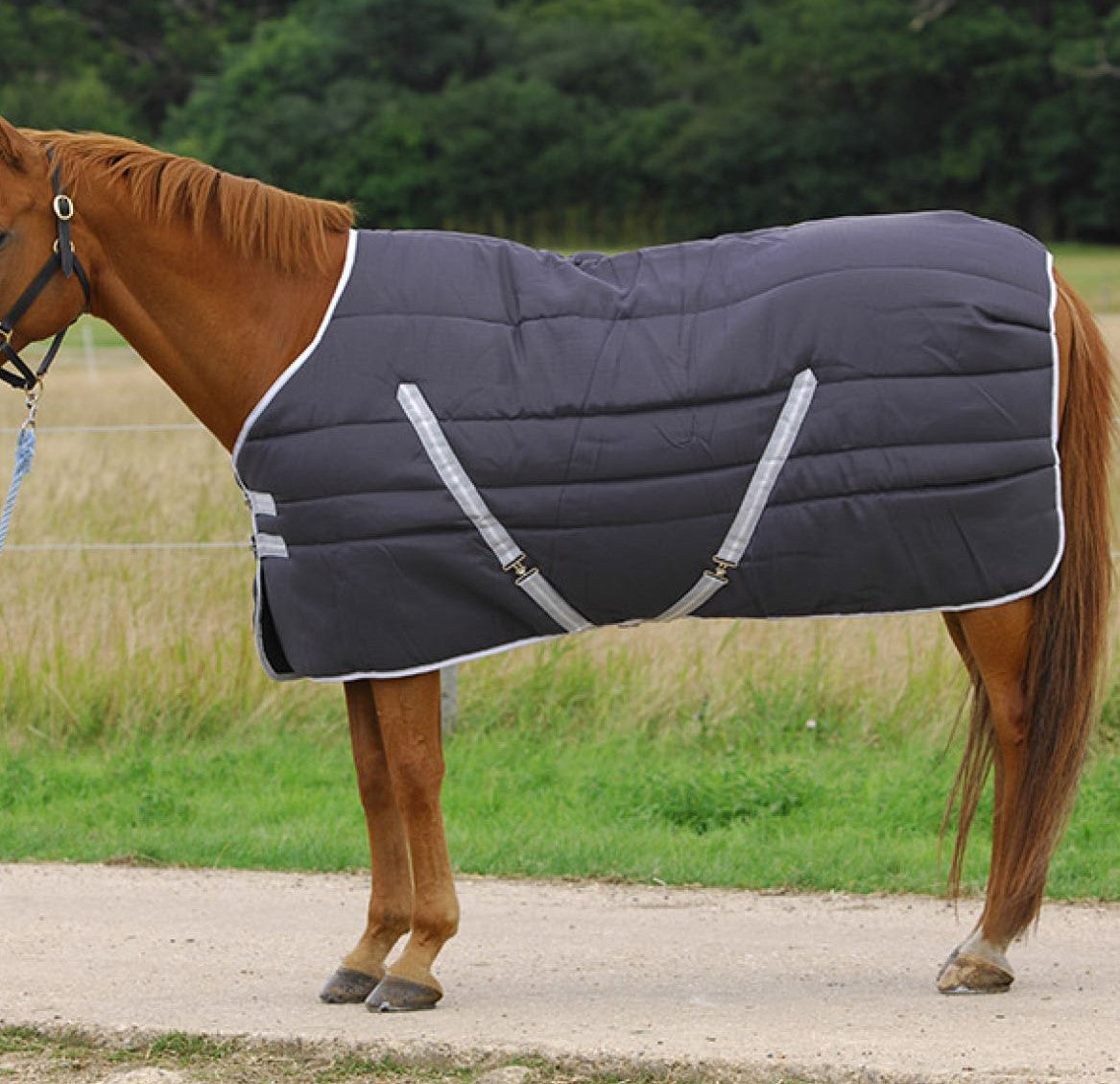 Chestnut horse wearing a charcoal quilted rug with crossed grey straps and white piping